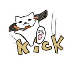 7626260