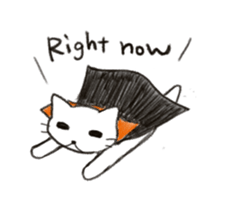 7626267