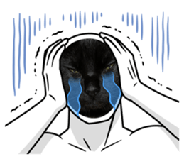 762626915