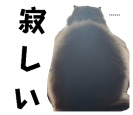 762627069