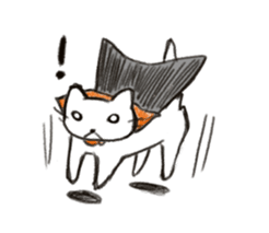 7626271
