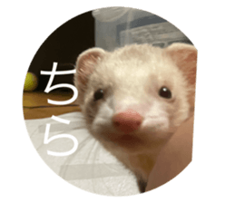 762627154