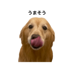 762627161