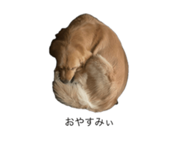 762627168