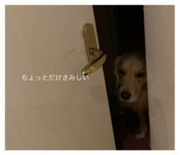 762627171