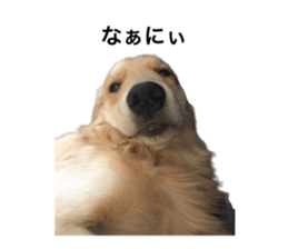 762627181
