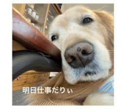 762627186