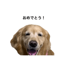 762627199