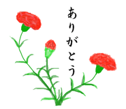 762629036