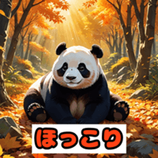 762629849