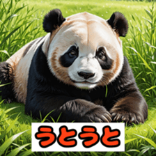 762629852