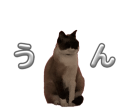 762634669
