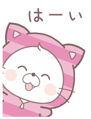762637885