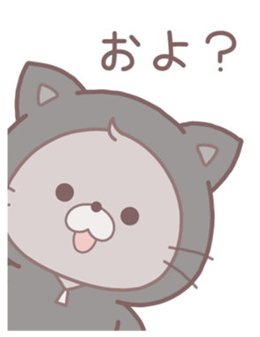 762637893