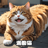 762638347