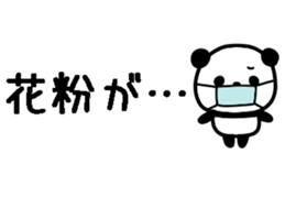 762639362