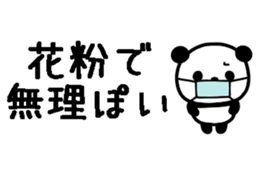 762639363