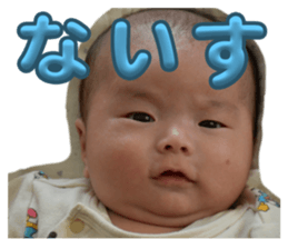 762644085