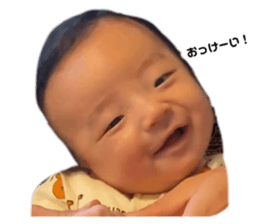 762644376
