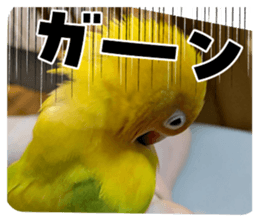 762644821