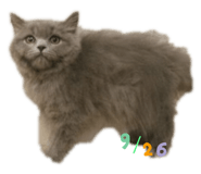 762645441