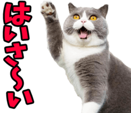 762646401