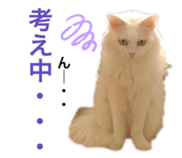 762648229