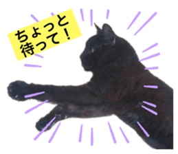 762648233