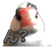 762648361