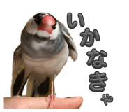 762648362