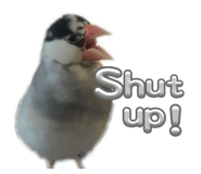 762648363