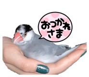 762648364