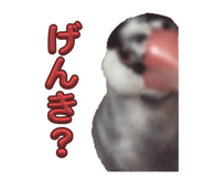 762648365