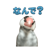 762648366