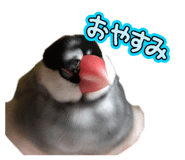762648367
