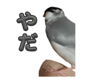 762648368