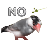 762648370