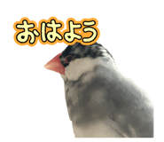 762648371