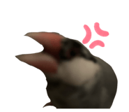762648372