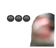 762648374