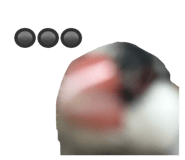 762648376