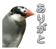 762648377
