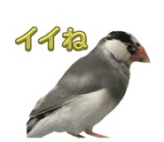 762648379
