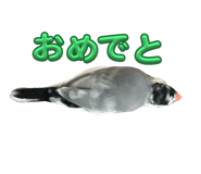 762648380