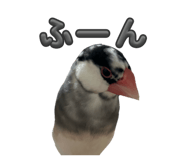 762648382