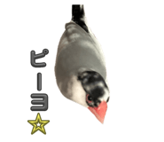 762648383