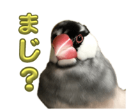 762648384