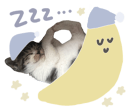 762649000