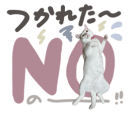 762649001