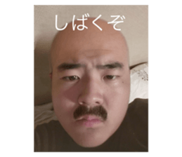 762649529